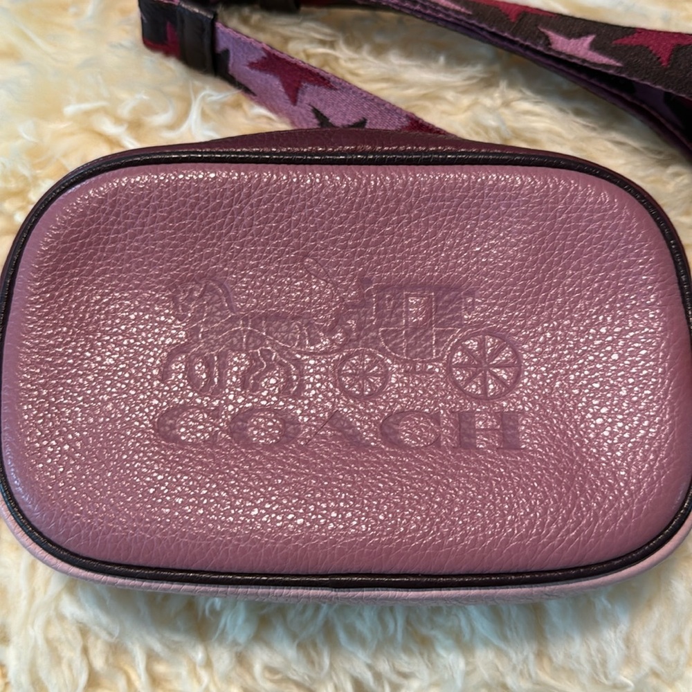 Coach Fanny pack/ crossbody